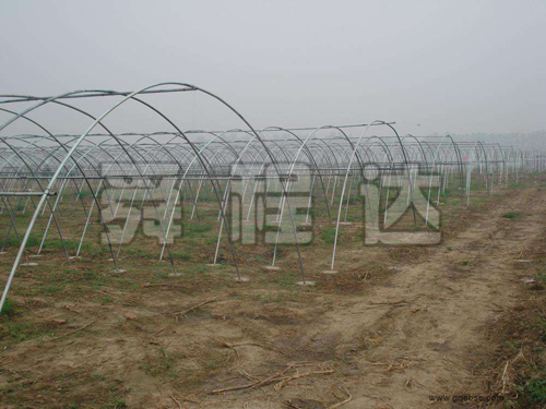 大棚管